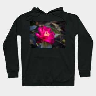 Common Camellia Flower Hoodie